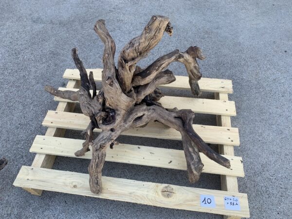 Legno Red Wood radice per acquari taglia M misura 30/40cm - AquariumAngri