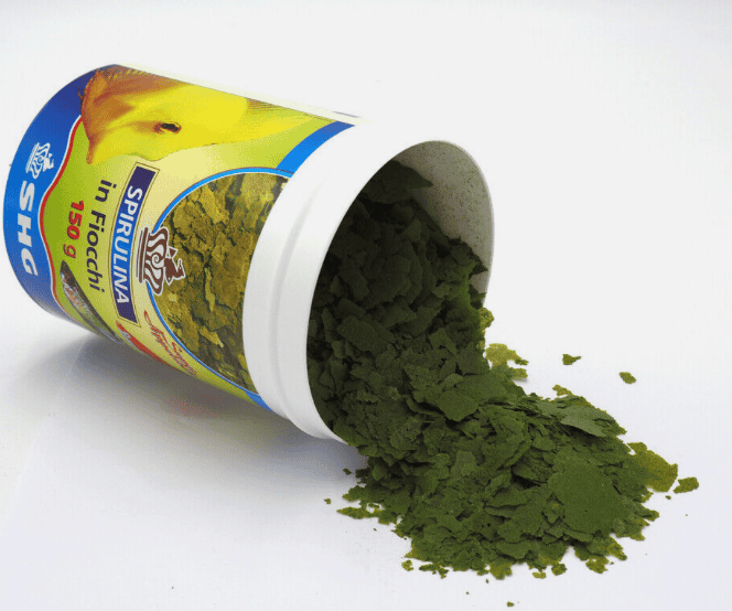 scaglie Shg spirulina