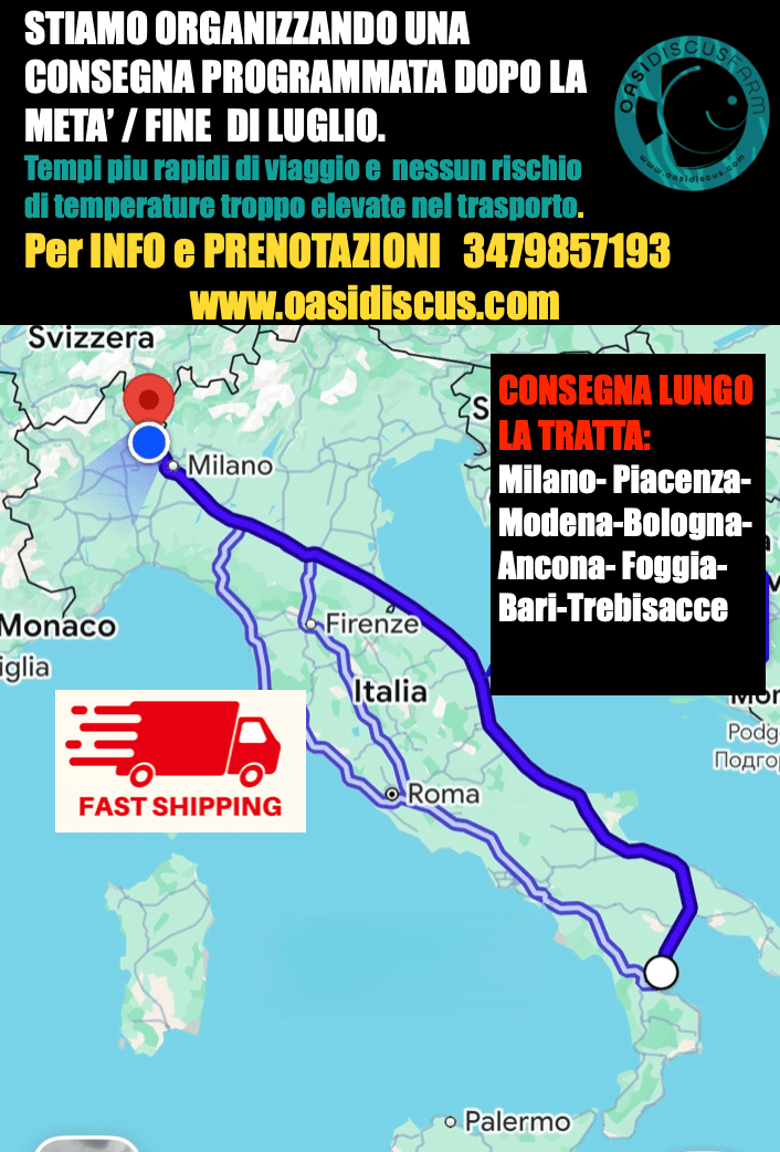 CONSEGNA PROGRAMMATA